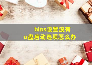 bios设置没有u盘启动选项怎么办