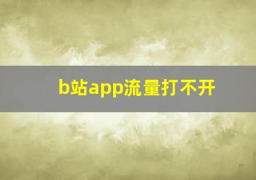 b站app流量打不开