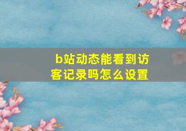 b站动态能看到访客记录吗怎么设置