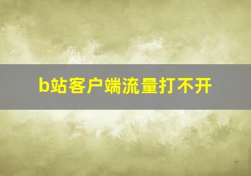 b站客户端流量打不开