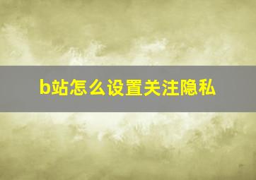 b站怎么设置关注隐私