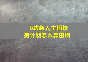 b站新人主播扶持计划怎么弄的啊