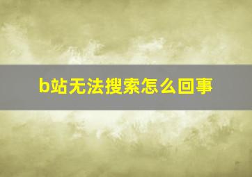 b站无法搜索怎么回事