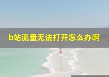 b站流量无法打开怎么办啊