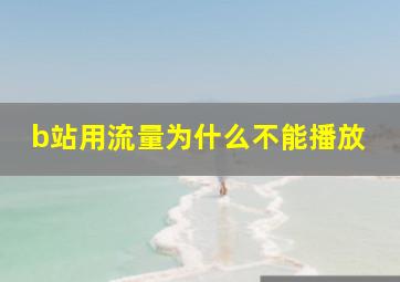 b站用流量为什么不能播放