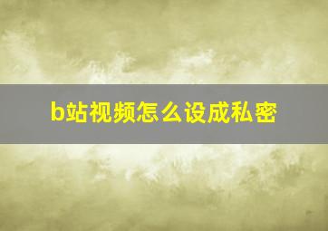 b站视频怎么设成私密