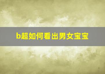 b超如何看出男女宝宝