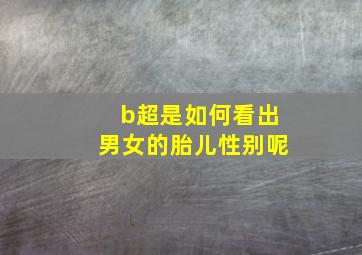 b超是如何看出男女的胎儿性别呢