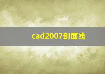 cad2007剖面线