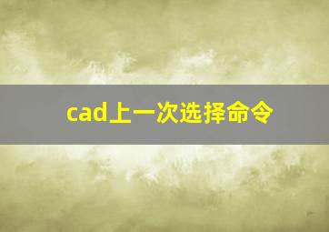 cad上一次选择命令