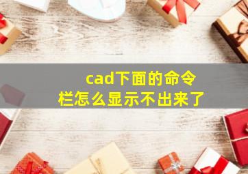 cad下面的命令栏怎么显示不出来了