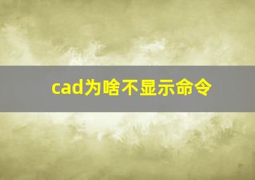 cad为啥不显示命令