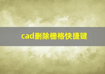 cad删除栅格快捷键