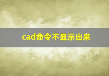 cad命令不显示出来