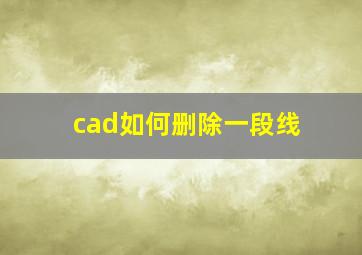 cad如何删除一段线