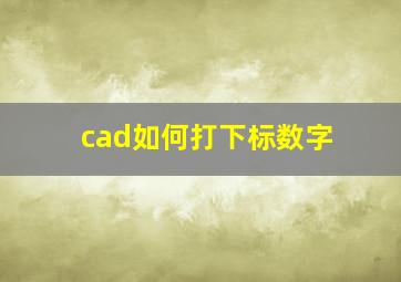 cad如何打下标数字