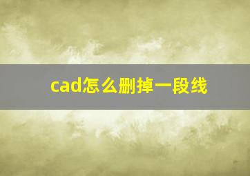 cad怎么删掉一段线