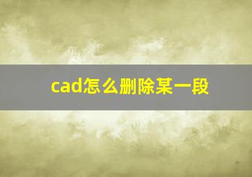 cad怎么删除某一段