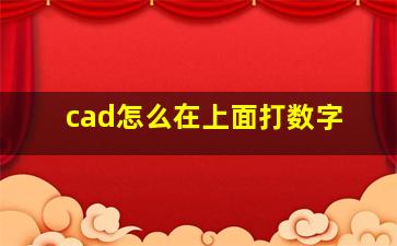 cad怎么在上面打数字