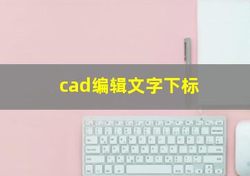 cad编辑文字下标