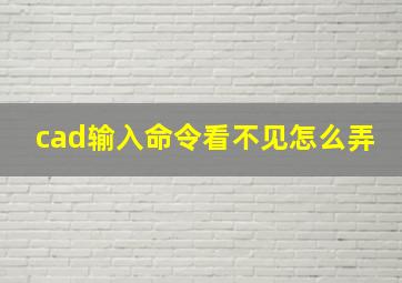 cad输入命令看不见怎么弄