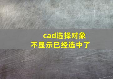 cad选择对象不显示已经选中了