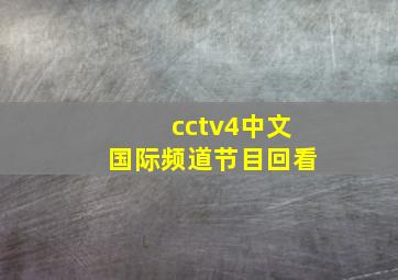 cctv4中文国际频道节目回看