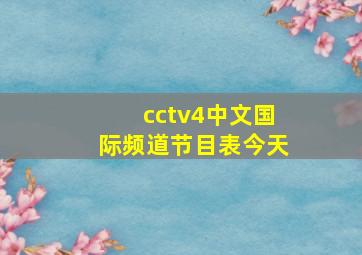 cctv4中文国际频道节目表今天