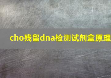 cho残留dna检测试剂盒原理