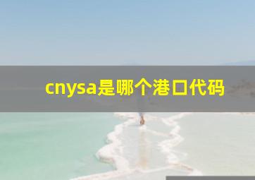 cnysa是哪个港口代码