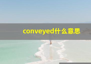 conveyed什么意思