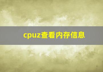 cpuz查看内存信息