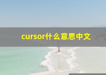 cursor什么意思中文