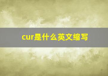 cur是什么英文缩写