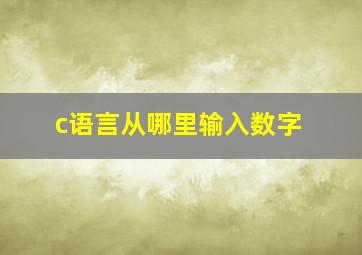 c语言从哪里输入数字