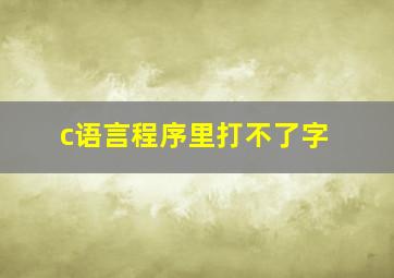 c语言程序里打不了字