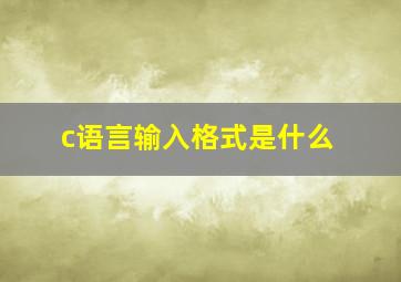 c语言输入格式是什么