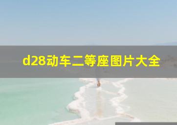 d28动车二等座图片大全