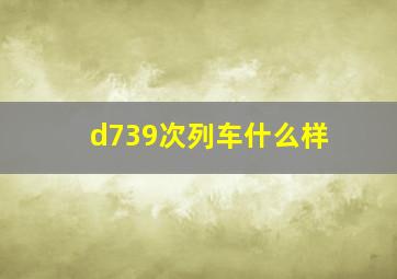 d739次列车什么样