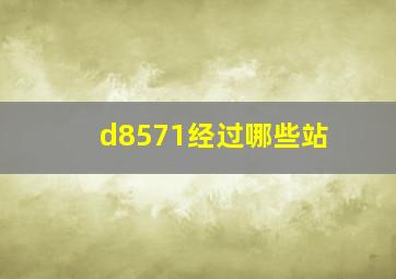 d8571经过哪些站