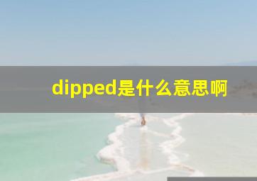 dipped是什么意思啊