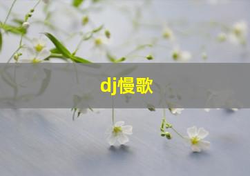 dj慢歌