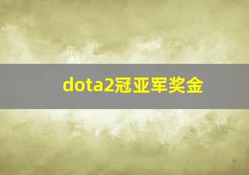 dota2冠亚军奖金