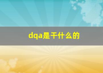 dqa是干什么的