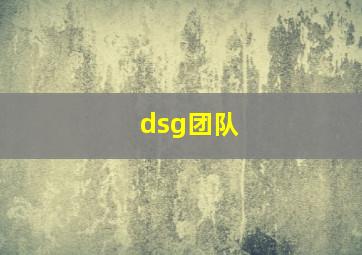 dsg团队