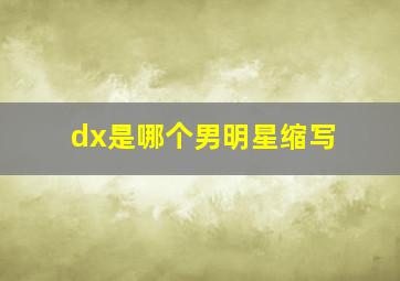 dx是哪个男明星缩写