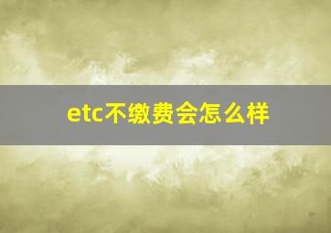 etc不缴费会怎么样