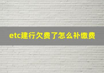 etc建行欠费了怎么补缴费