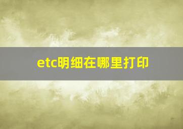 etc明细在哪里打印