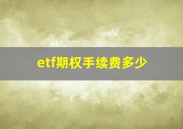 etf期权手续费多少